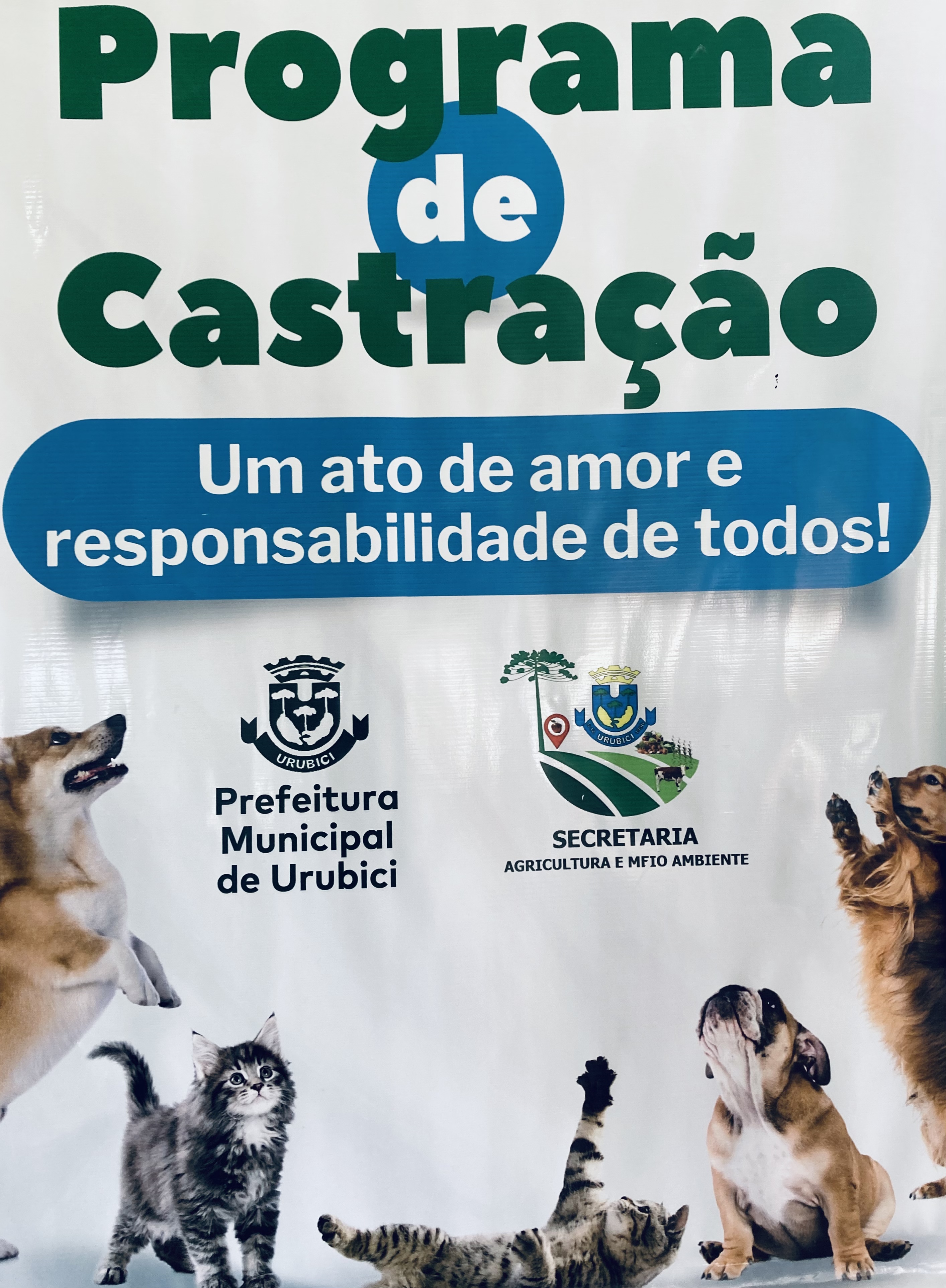 Galeria - Castração de cães e gatos para a população 