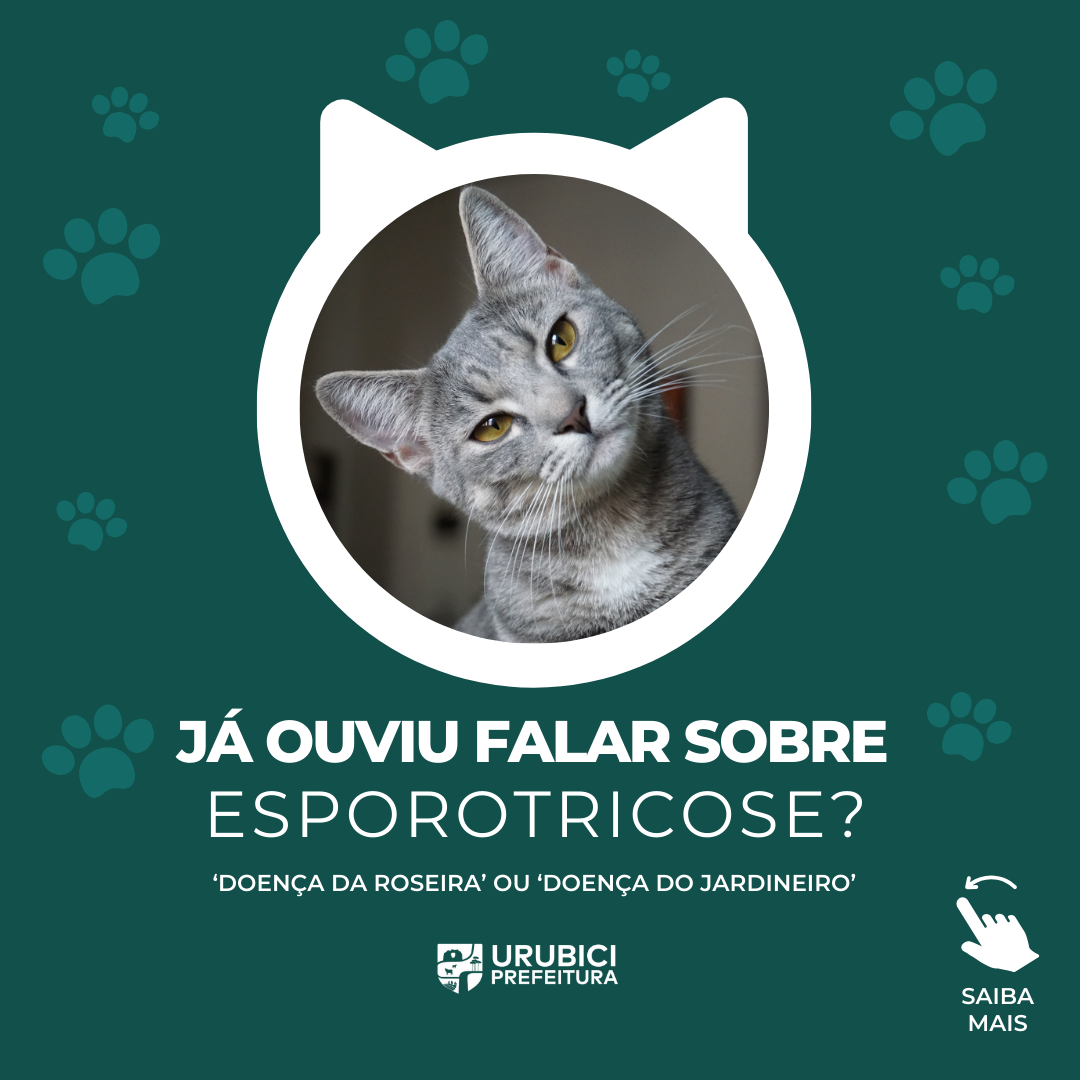 Prefeitura Municipal de Urubici | Você sabe o que é ESPOROTRICOSE? Prefeitura Municipal de Urubici | Você sabe o que é ESPOROTRICOSE?