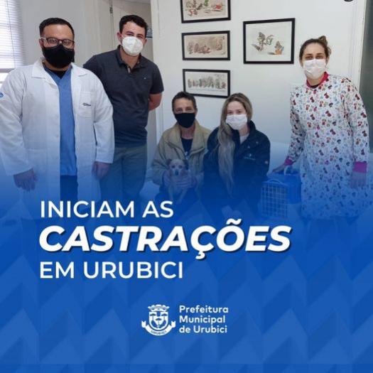 Programa de castrações tem início em Urubici Programa de castrações tem início em Urubici
